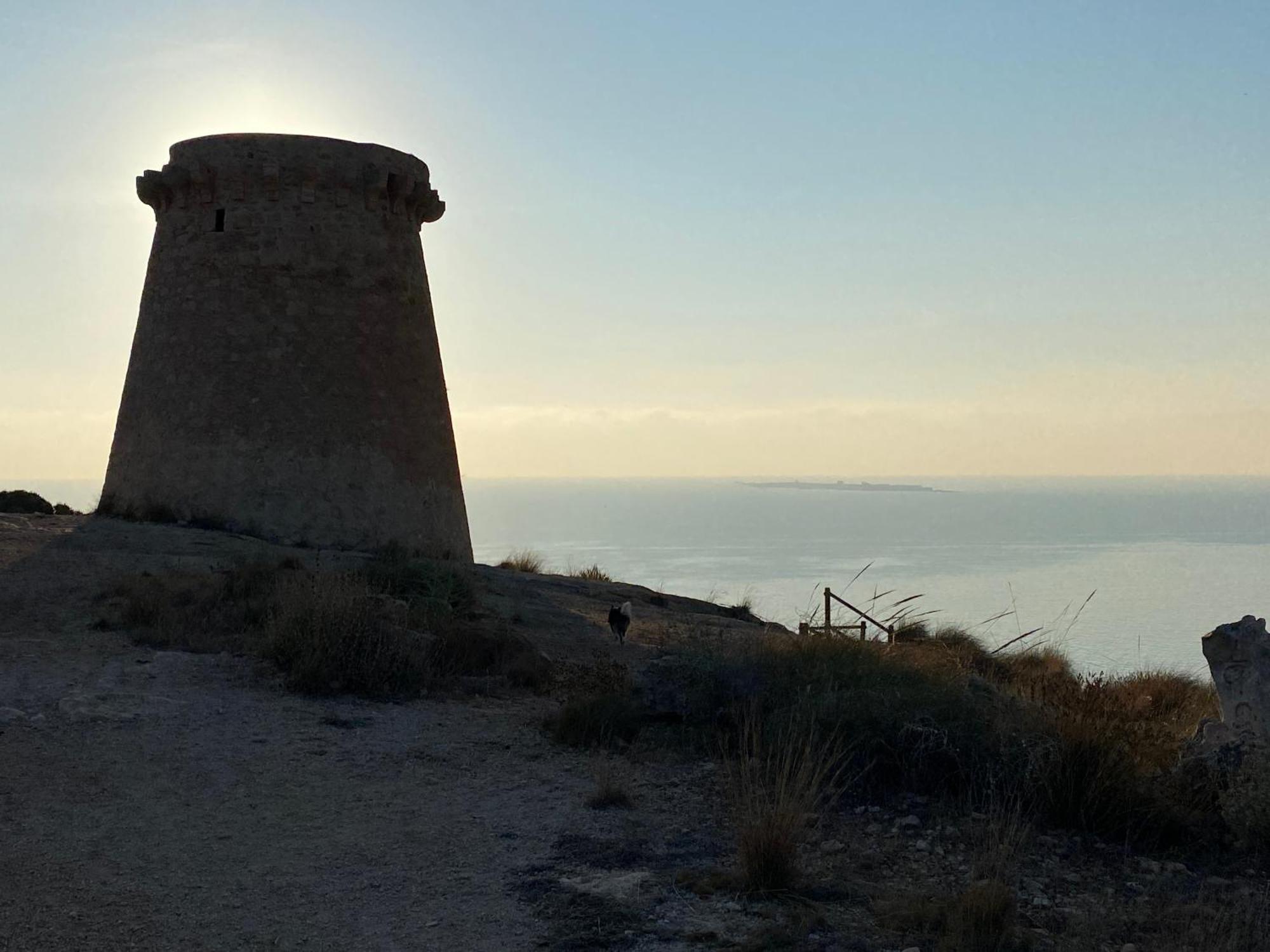 Petirrojo Villa Santa Pola Exterior photo
